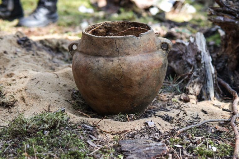 Zielona Góra - Łężyca - naczynia ceramiczne odkryte przez zuchów fot. podharcmistrz Pan Jarosław Zasacki